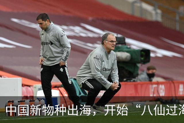 中国新物种出海，开始“八仙过海”