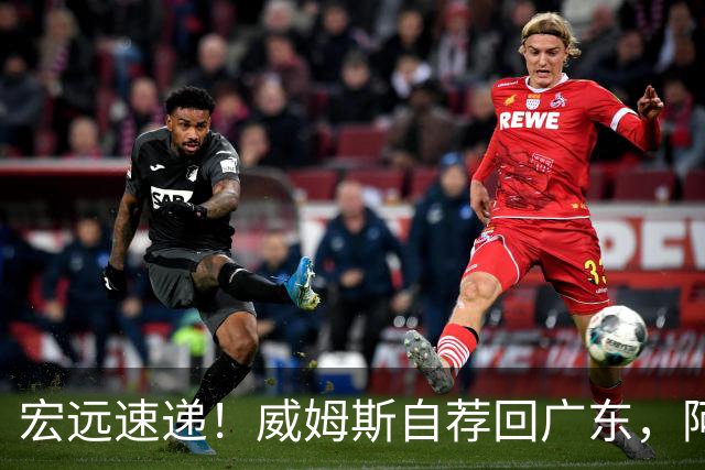 宏远速递！威姆斯自荐回广东，阿祖即将被裁，杨鸣建议请回莫兰德