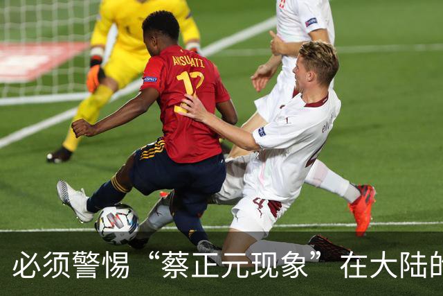 必须警惕“蔡正元现象”在大陆的泛滥