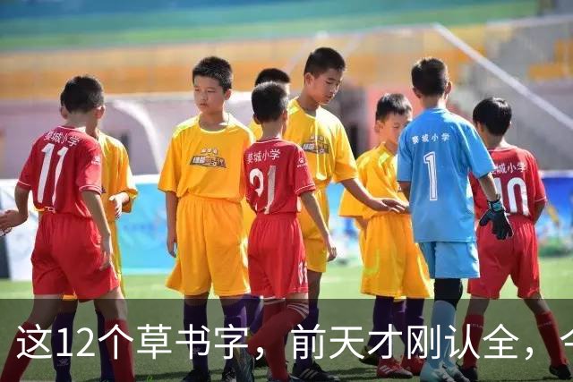 这12个草书字，前天才刚认全，今天就忘了5个——全认出来的是真功夫。草书的写法为什么一段时间不练习，就全忘了？