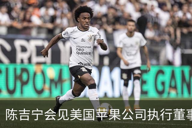 陈吉宁会见美国苹果公司执行董事长蒂姆·库克